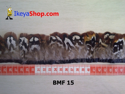 BMF 15  large2